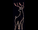 Deer Christmas Light Displays