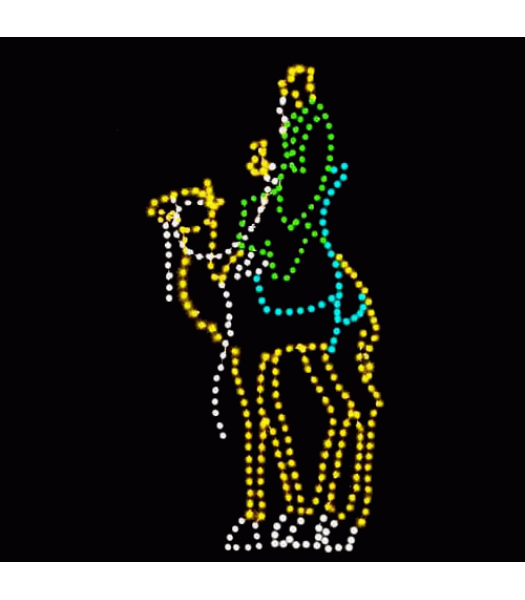 13' Wiseman on Camel