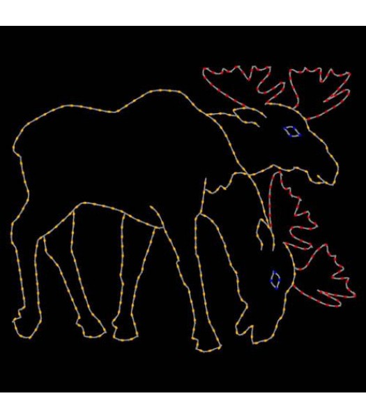 10' Moose