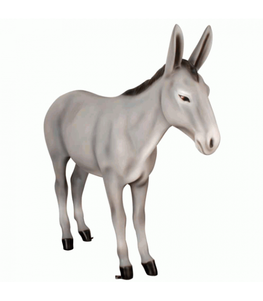 Exclusive Series - Donkey