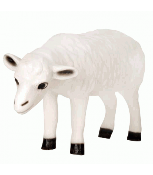 Exclusive Series - Sheep (Head Down)