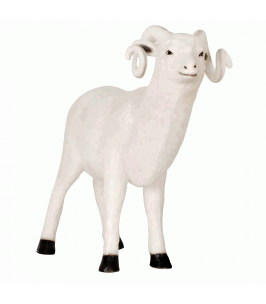 Exclusive Series - Ram