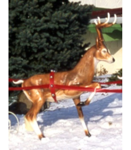 Fawn Reindeer (Head Up)