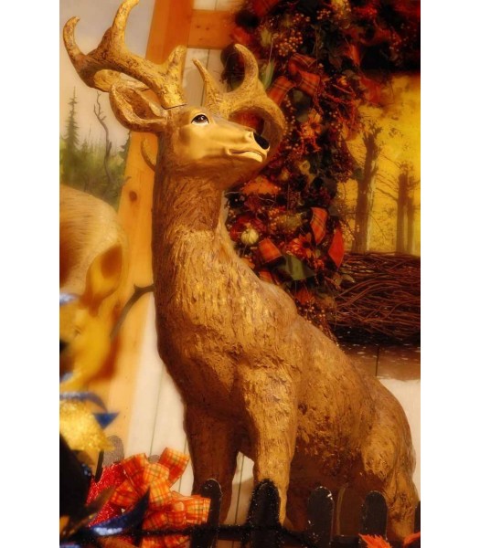 Standing Buck