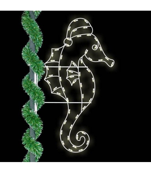 6' Seahorse with Cap